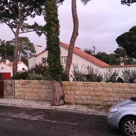 Villa Domus Quieta Pool Near